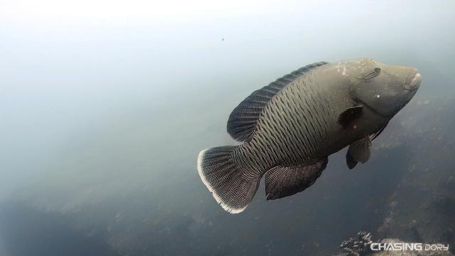 潜行无人机测试,潜拍无人机