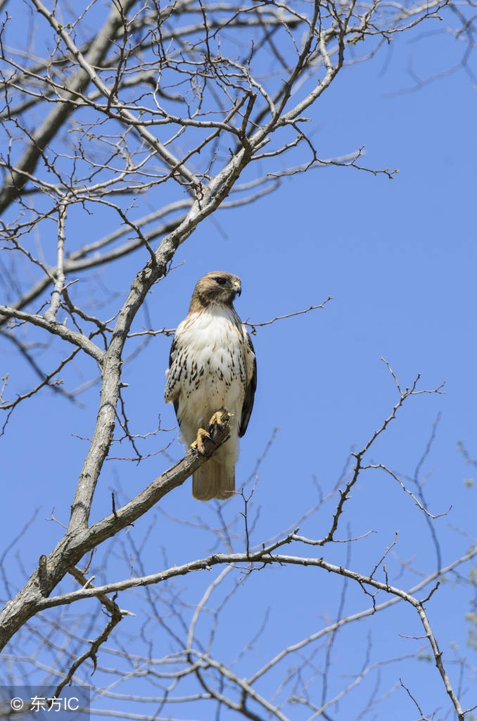 北方课堂初中物理9-2液体的压强练习题