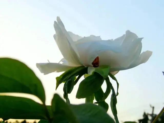 家里有个管家婆的时候真幸福,家里有个管家婆真幸福