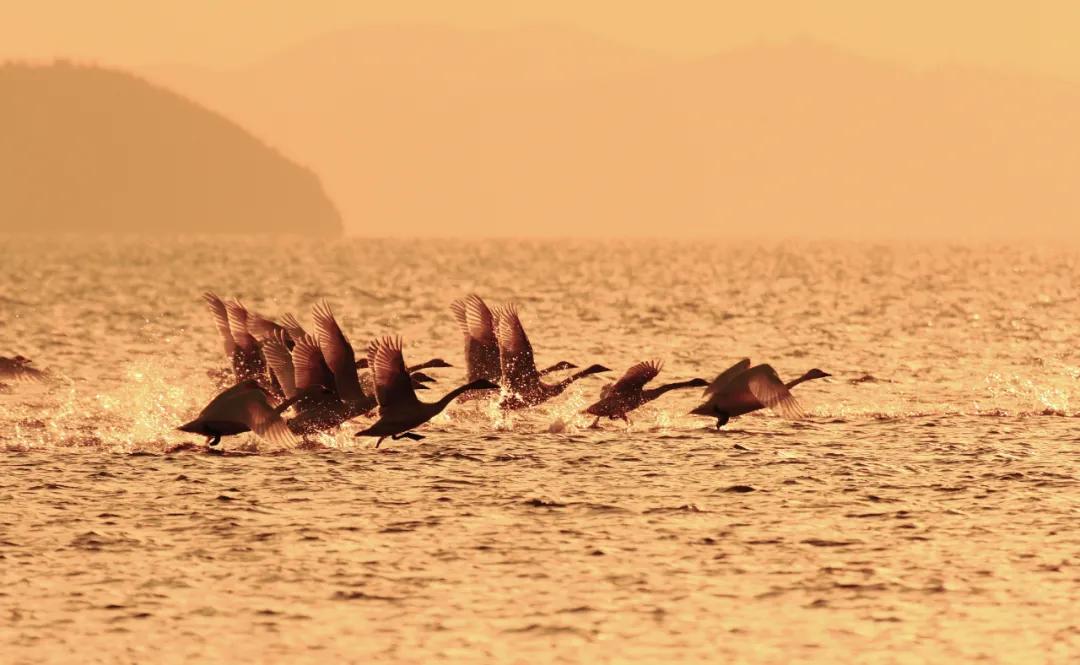 鄱阳湖知识,鄱阳湖水文化