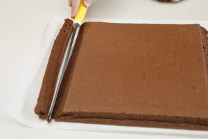 私房烘焙蛋糕卷,烘焙火爆产品蛋糕卷