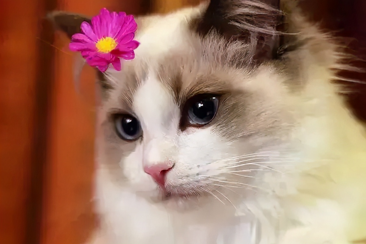 万万没想到强迫症,洁癖强迫症治愈方法