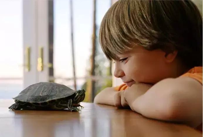 宝宝上学害怕怎么引导,孩子害羞怕生怎么引导