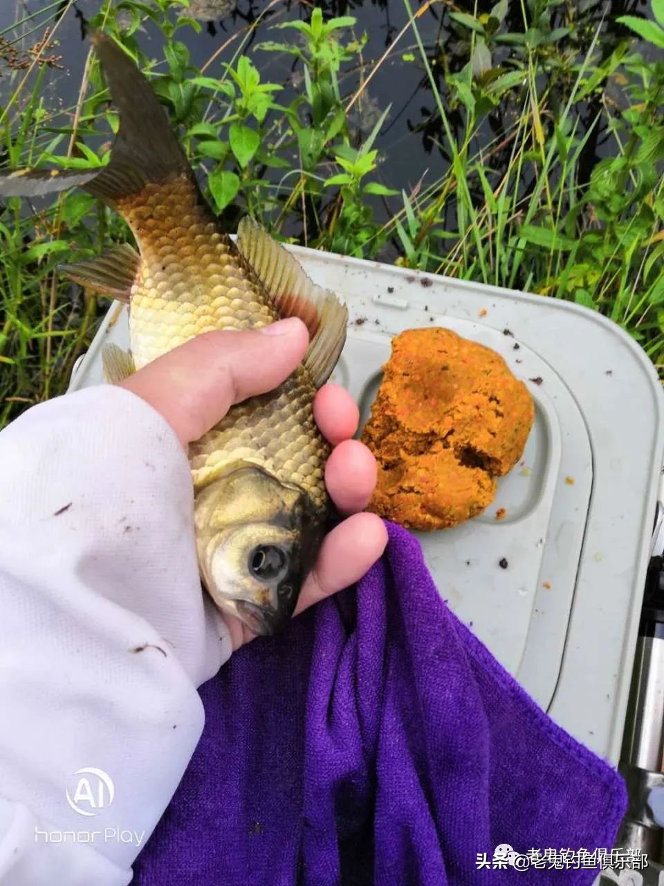 野河钓鲫鱼长竿占优势吗,现在野河钓鲫鱼是钓深处还是浅滩
