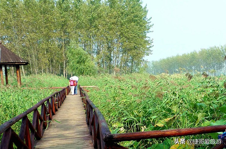 捷哥语录,捷哥旅游