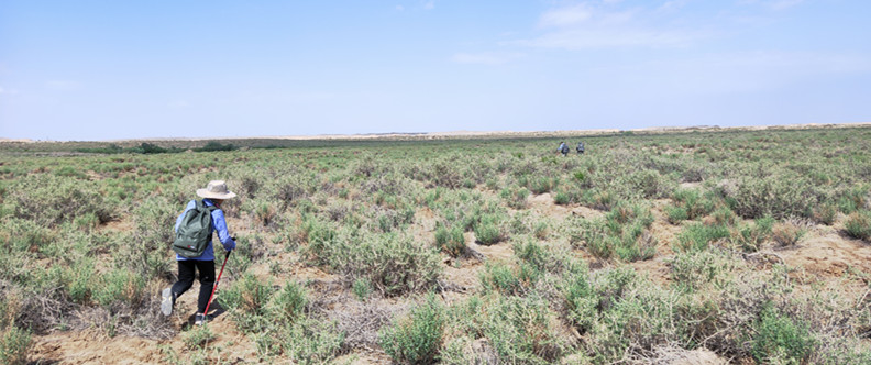 徒步西藏敦煌攻略,徒步走敦煌莫高窟