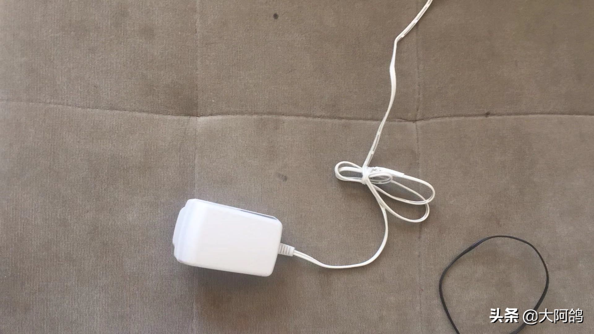 自制鹌鹑蛋简易孵化器,如何不用孵化器简单孵化鹌鹑蛋