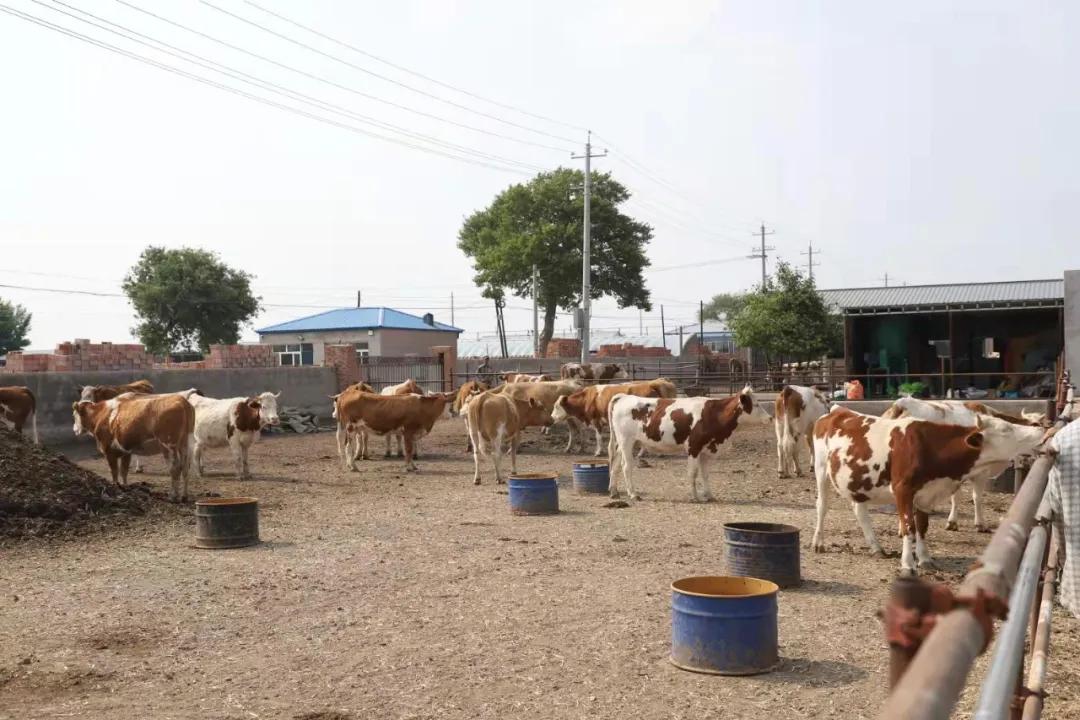 付宝：身残志坚勇创业自强不息谋致富