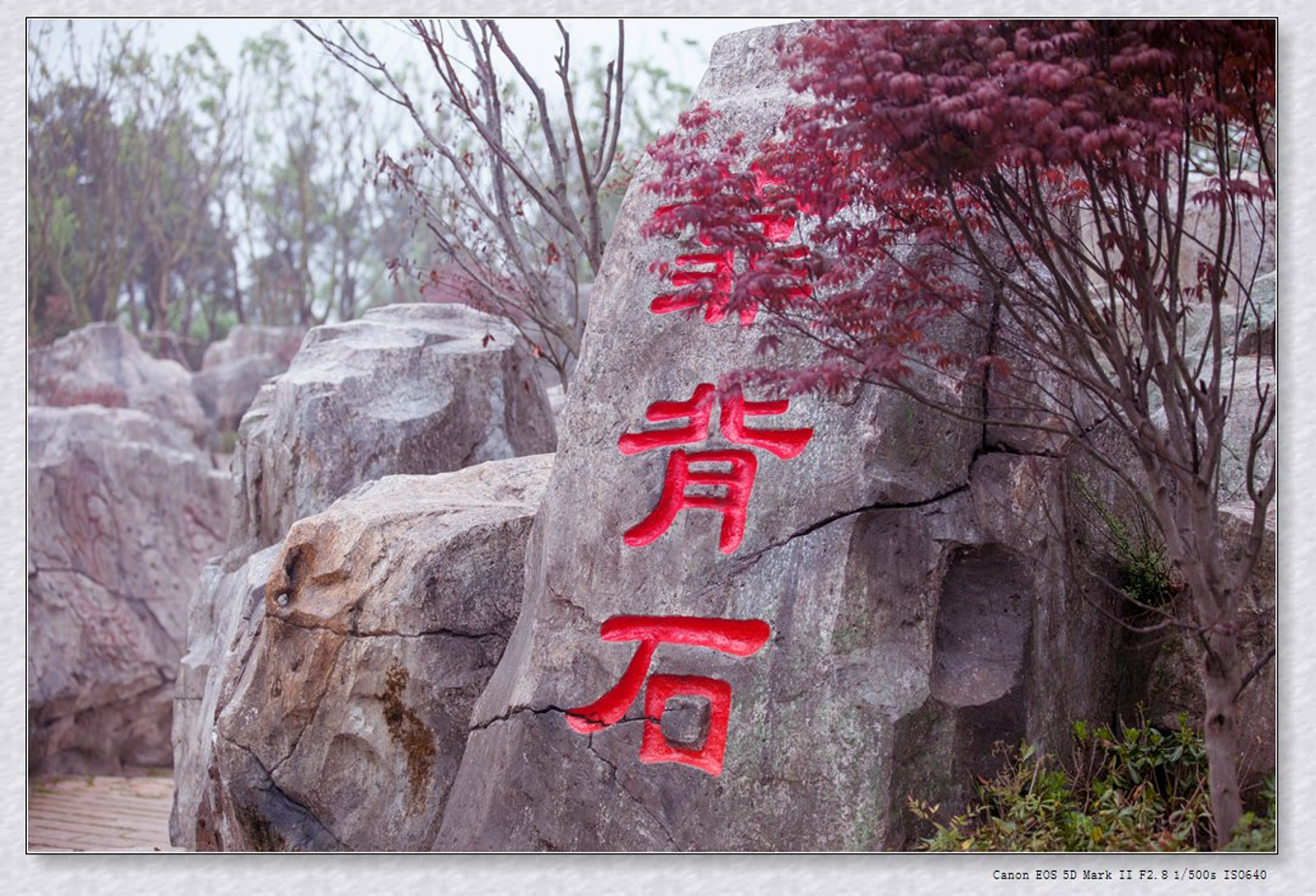 常州旅游东方盐湖城,骆驼之旅视频