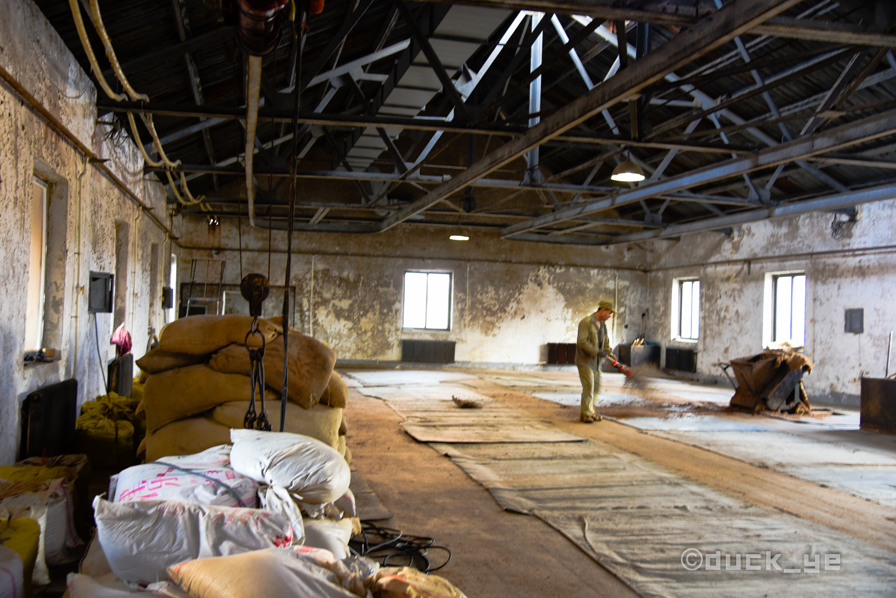 359年原址原井原窖池原工艺连续酿酒,来沈阳就要喝老龙口,香