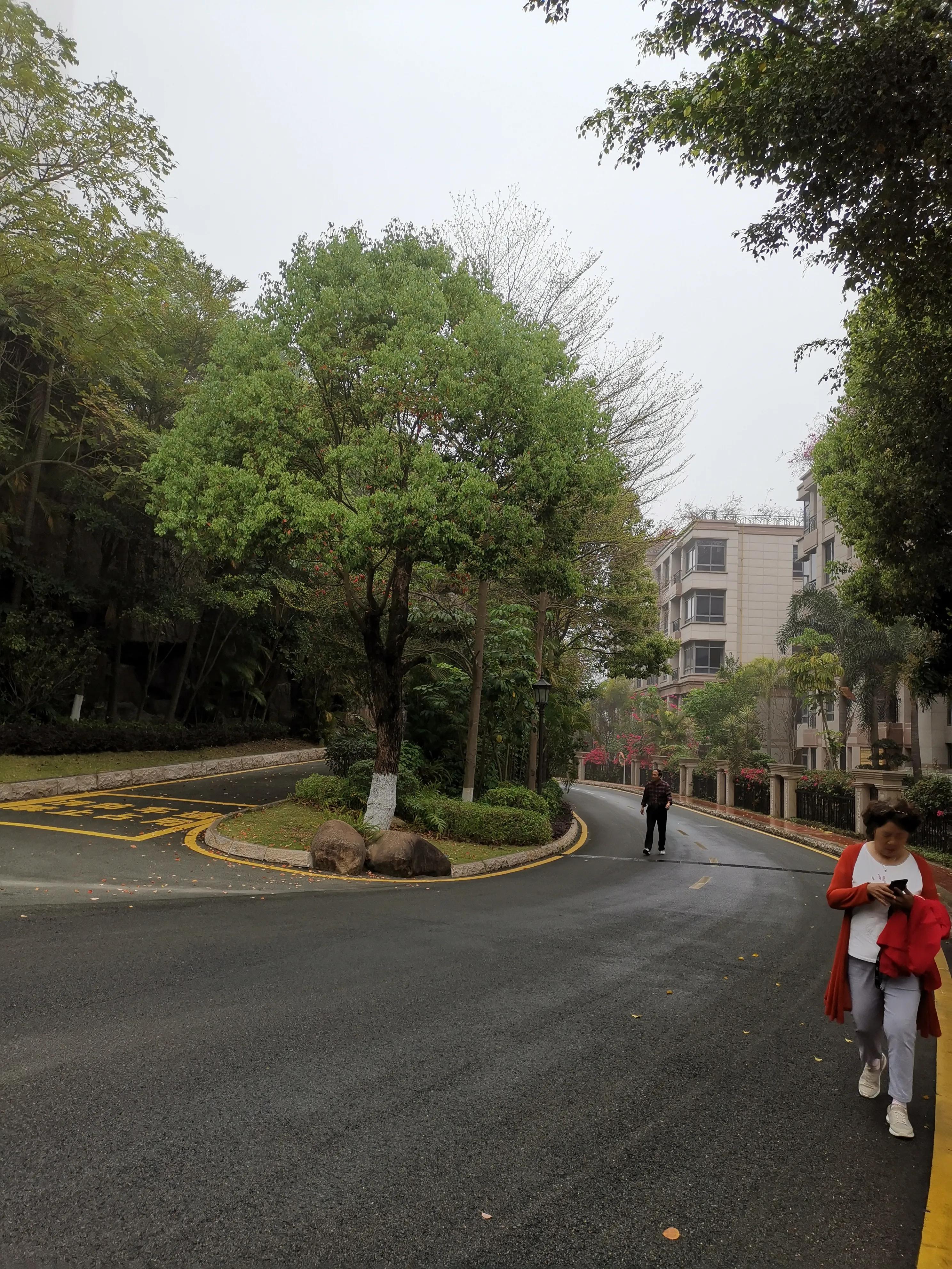 濮戝珎鏃呰璁板綍,濮戝珎鏃呰鏃ヨ