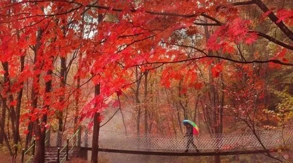 沈阳冬季一日游最佳去处,沈阳本溪自驾看枫叶去哪里