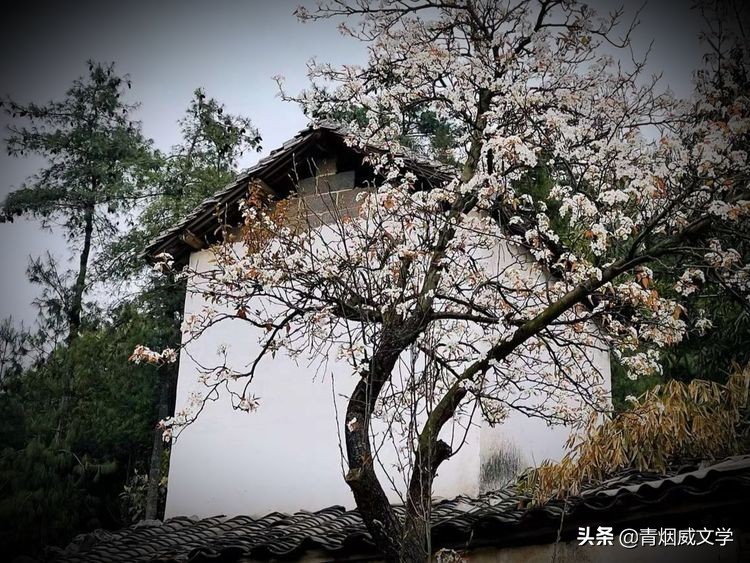 俺这是要跑到哪儿去(童年往事)