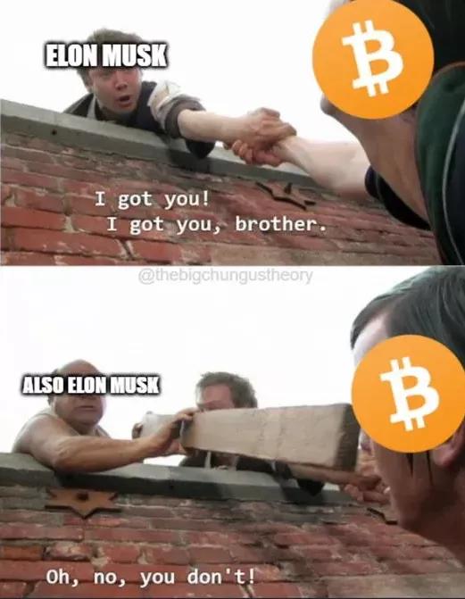 *币特比**跌的连亲娘都不认识?网友狂骂马斯克!“你让我一无所有”