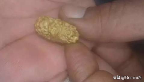 金刚菩提骗局大揭秘,金刚菩提骗局