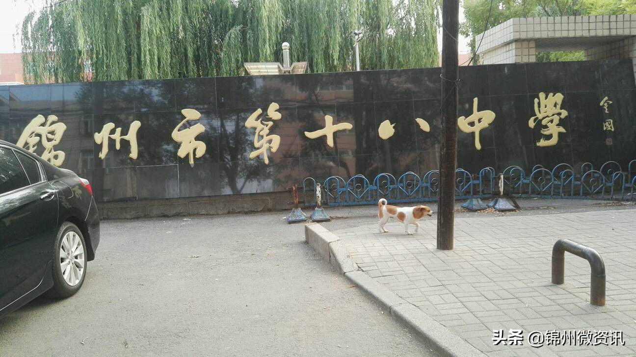 锦州市中学排名前十名,锦州初中学校排名前十2019