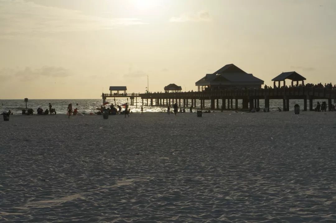 圣彼得斯堡清水湾,在阳光之城采撷阳光