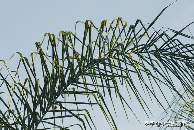 小学语文必备成语积累,1-6年级语文59类常用成语词汇总结