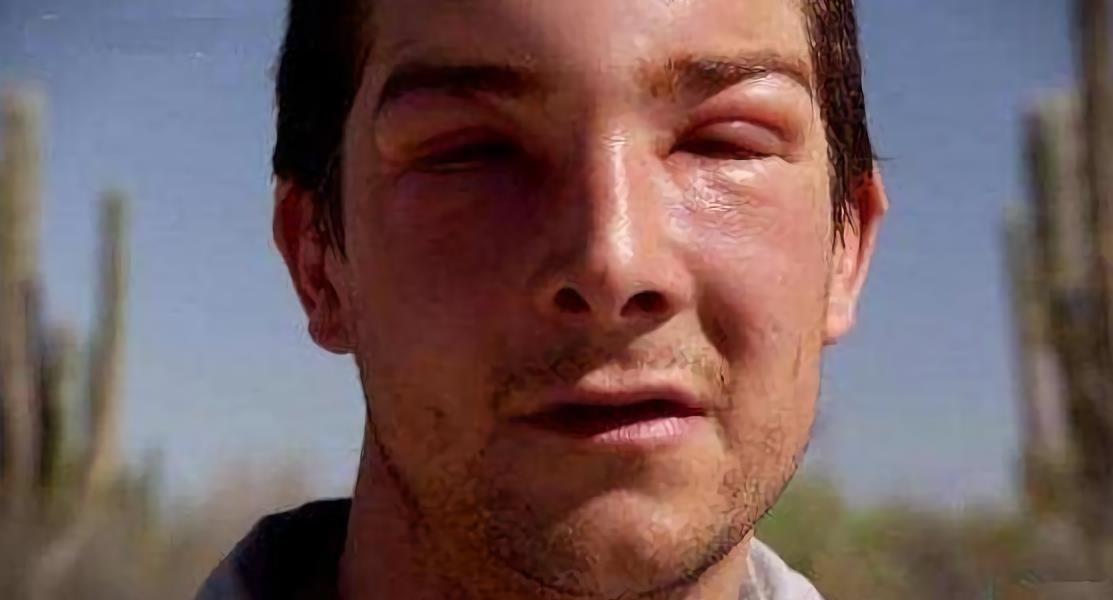 农村人又爱又恨的小昆虫,如今搬上餐桌,真下不去口