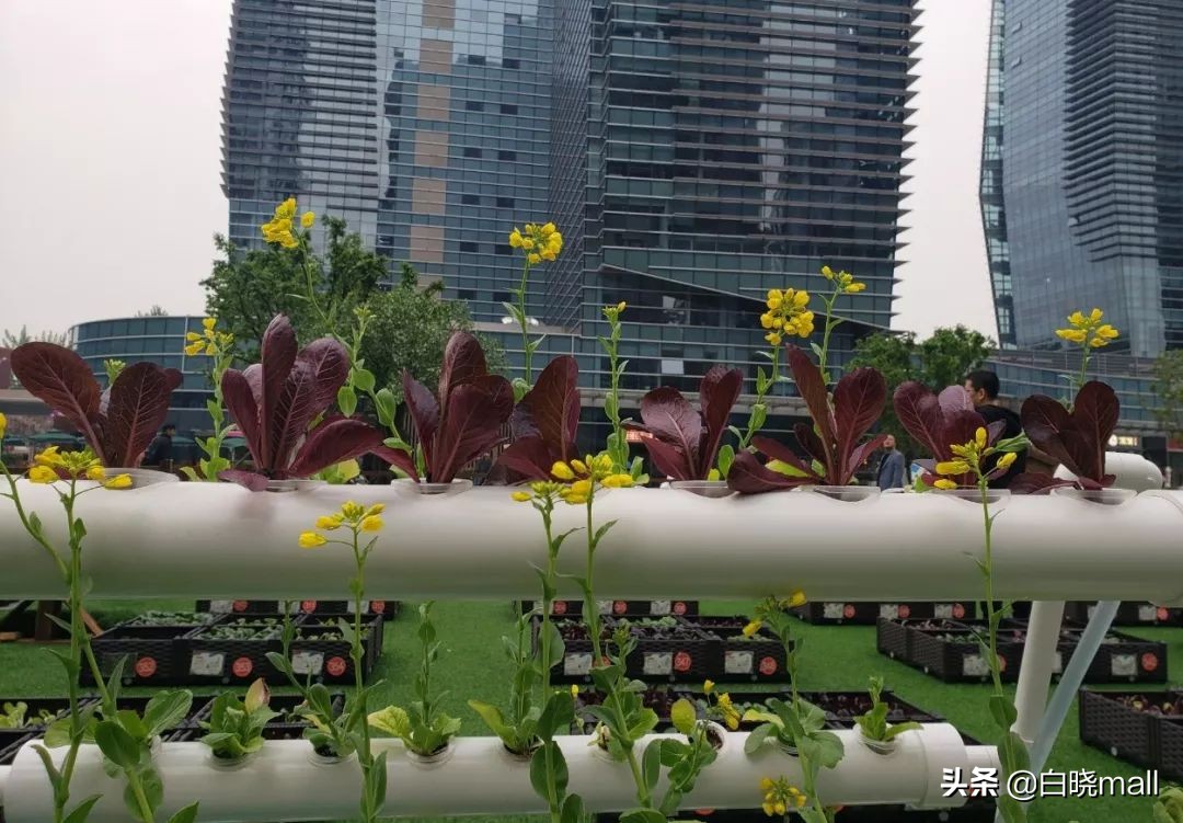 北京南城大型购物中心哪家最好,北京大族广场楼层品牌