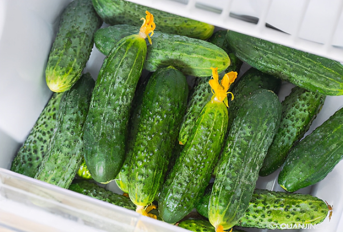 除蟑螂最有效方法彻底消灭蟑螂,家里有蟑螂灭蟑螂最好的办法