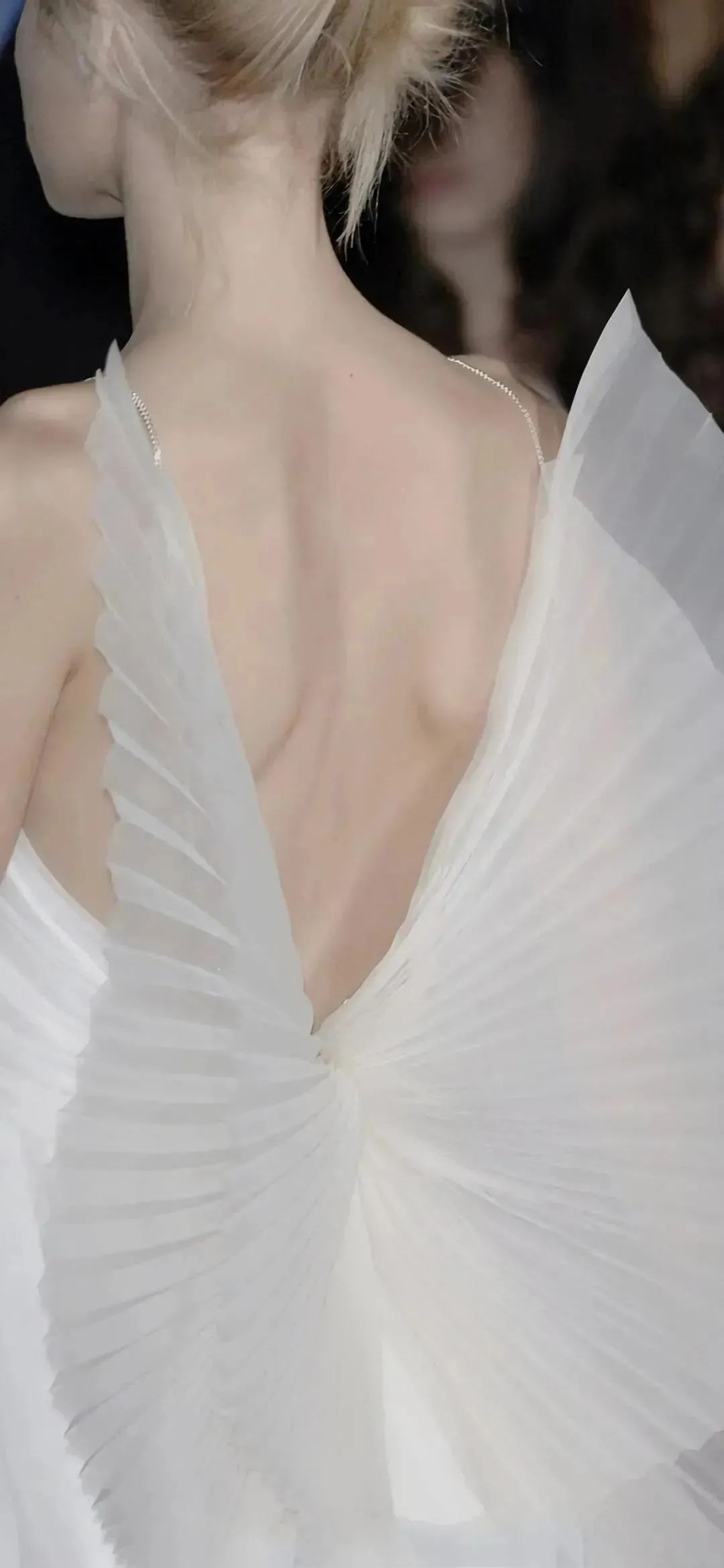 壁纸不要寄希望于别人多看自己,壁纸接受事与愿违