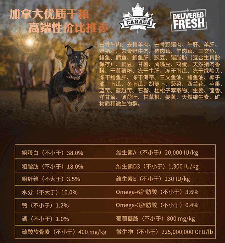 汪星人吃什么狗粮好,汪星人吃什么狗粮好一点