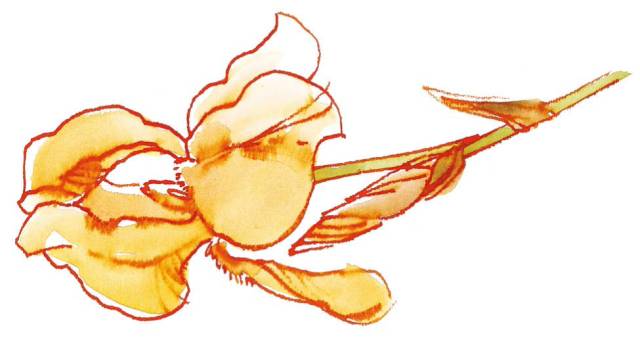 水彩绘画用的纸,水彩绘画用的画笔