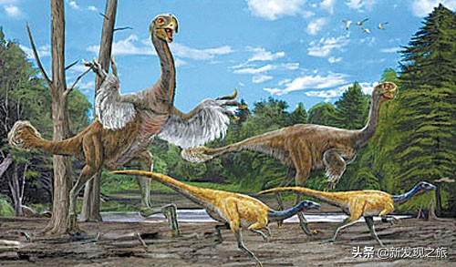 生物进化史最具代表的事件,生物进化史的意义