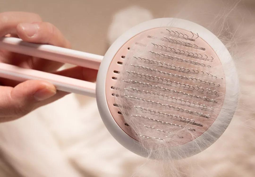 猫咪必备10大神器,猫咪必备神器排行