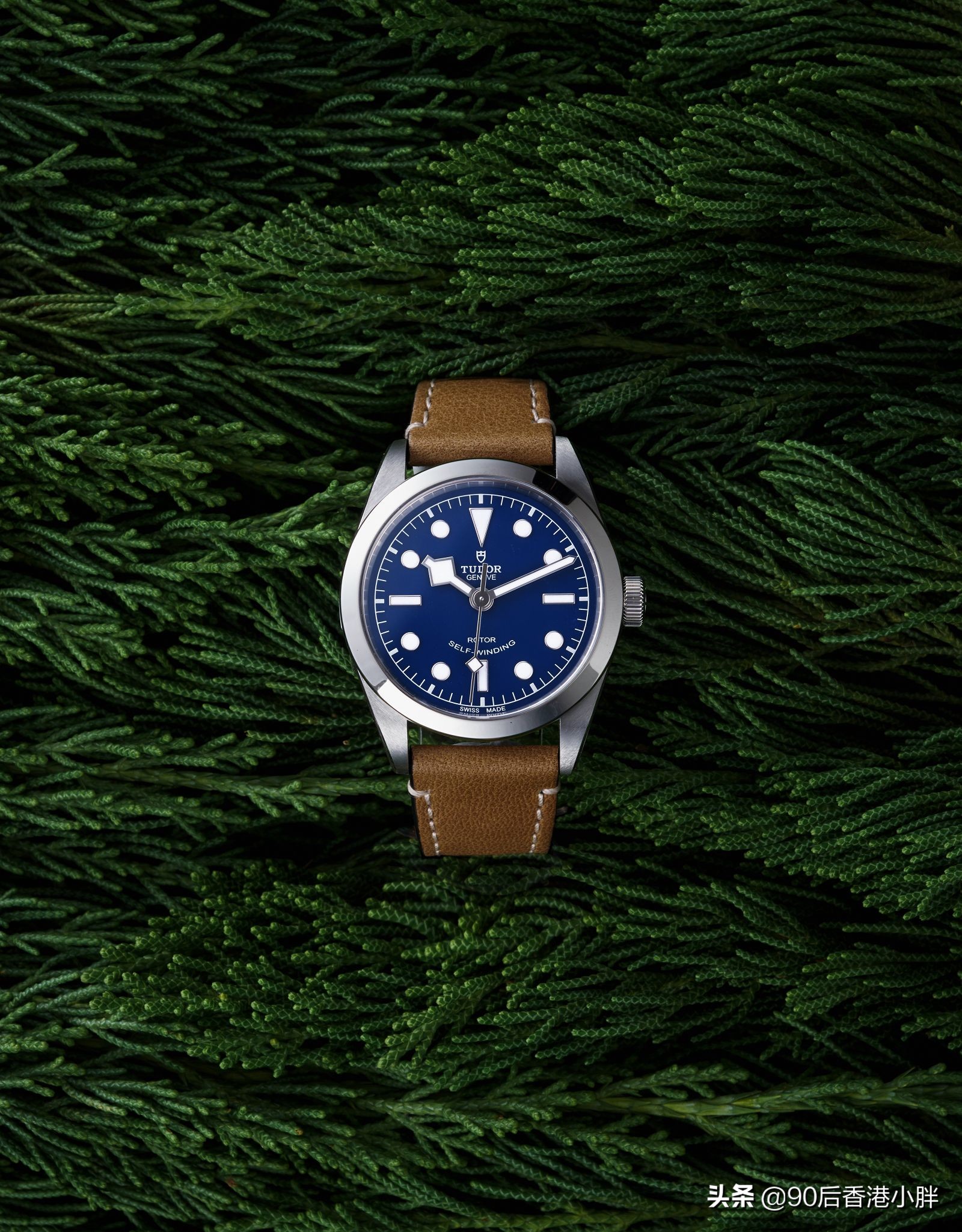 tudor1926,tudor经典系列好吗