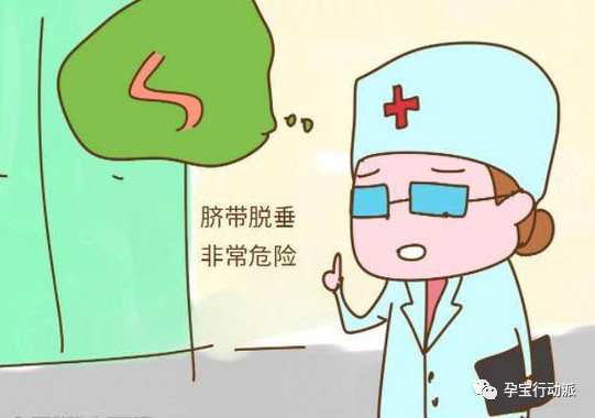 什么是脐带脱垂如何处理,臀位宝宝脐带脱垂有什么感觉