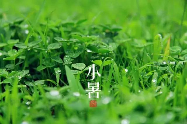 高考遇小暑防暑,小暑过后天气闷热