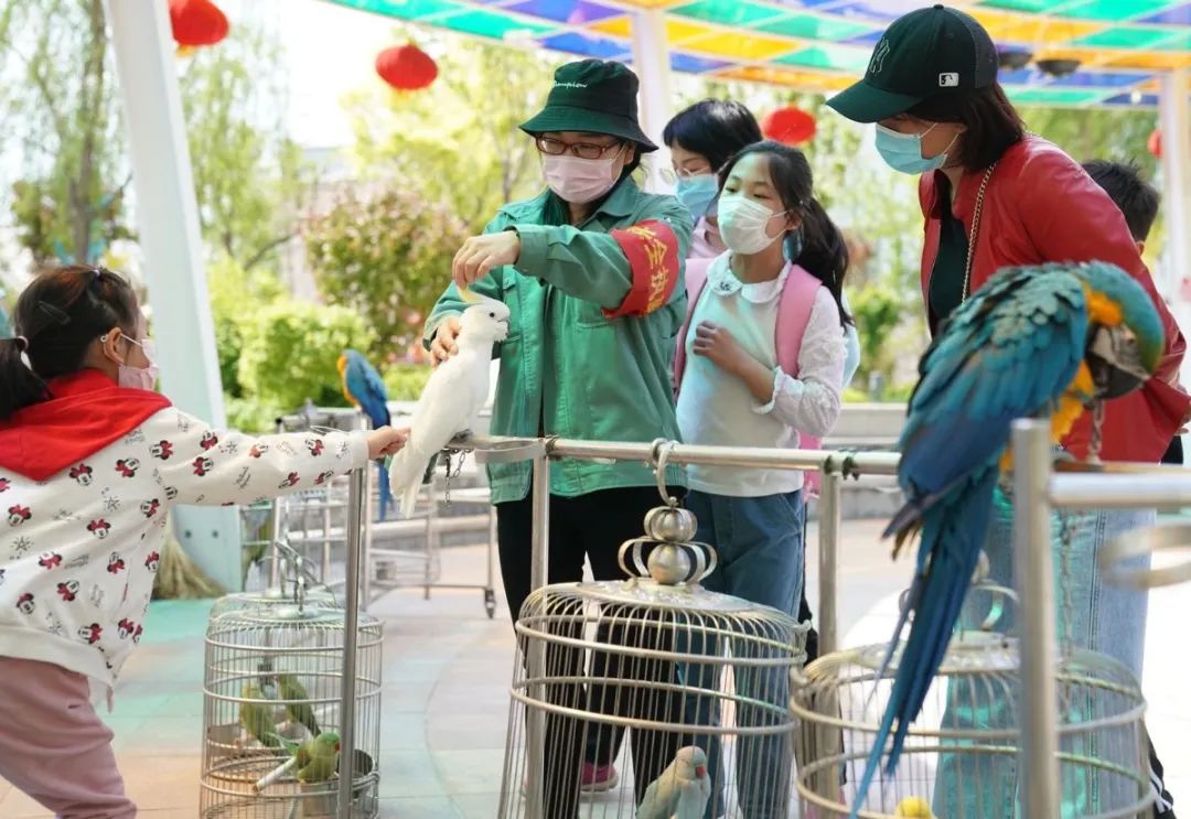 出行安全宝典,北京旅游安全攻略