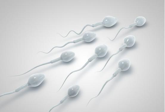 精子常规报告结果怎么看,精子报告单结果怎么看