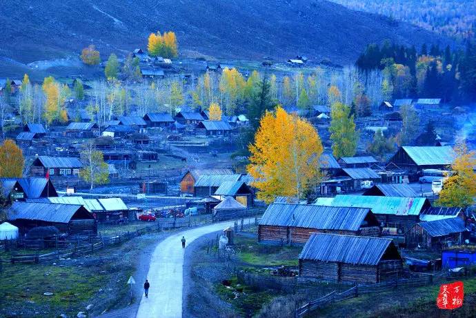 中国鸡尾,中国鸡尾巴