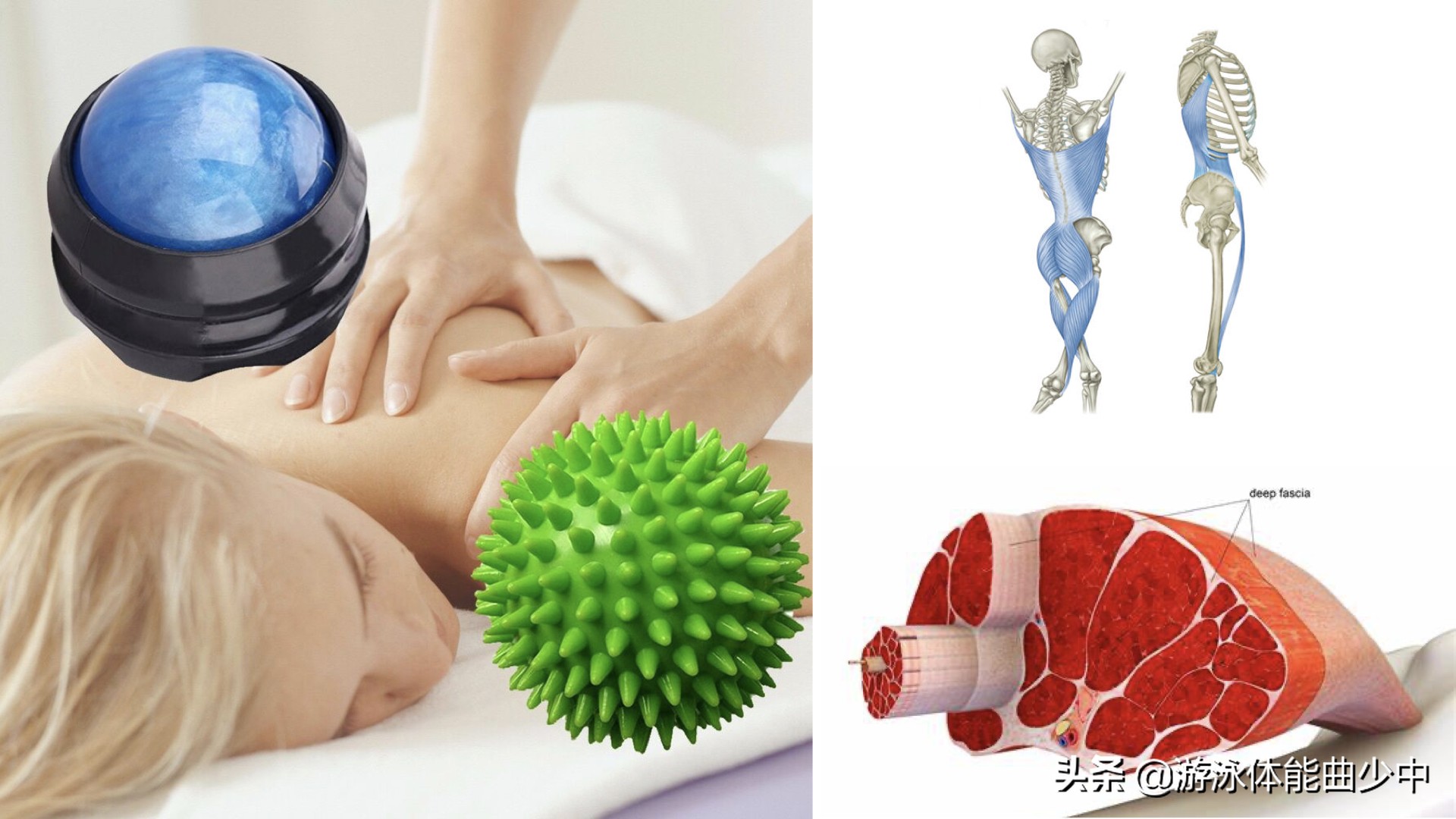 专业游泳训练后肌肉放松教程,游泳能放松深层肌肉吗