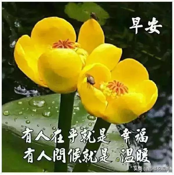 特别暖心的早上好祝福语图片图文,早上好祝福问候语温馨短句图片