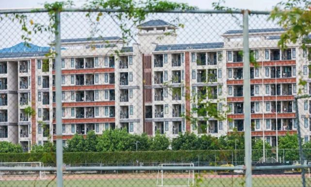 广东岭南职业技术学院2024分数,广东岭南职业技术学院志愿填报