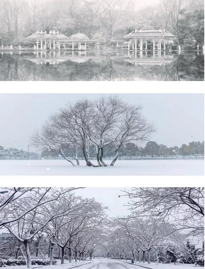 安徽合肥大学二本院校,安徽二本高校