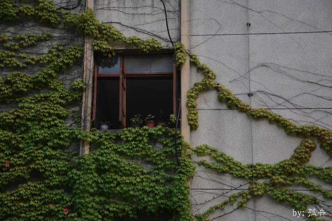 三线记忆大邑,三线记忆湖南