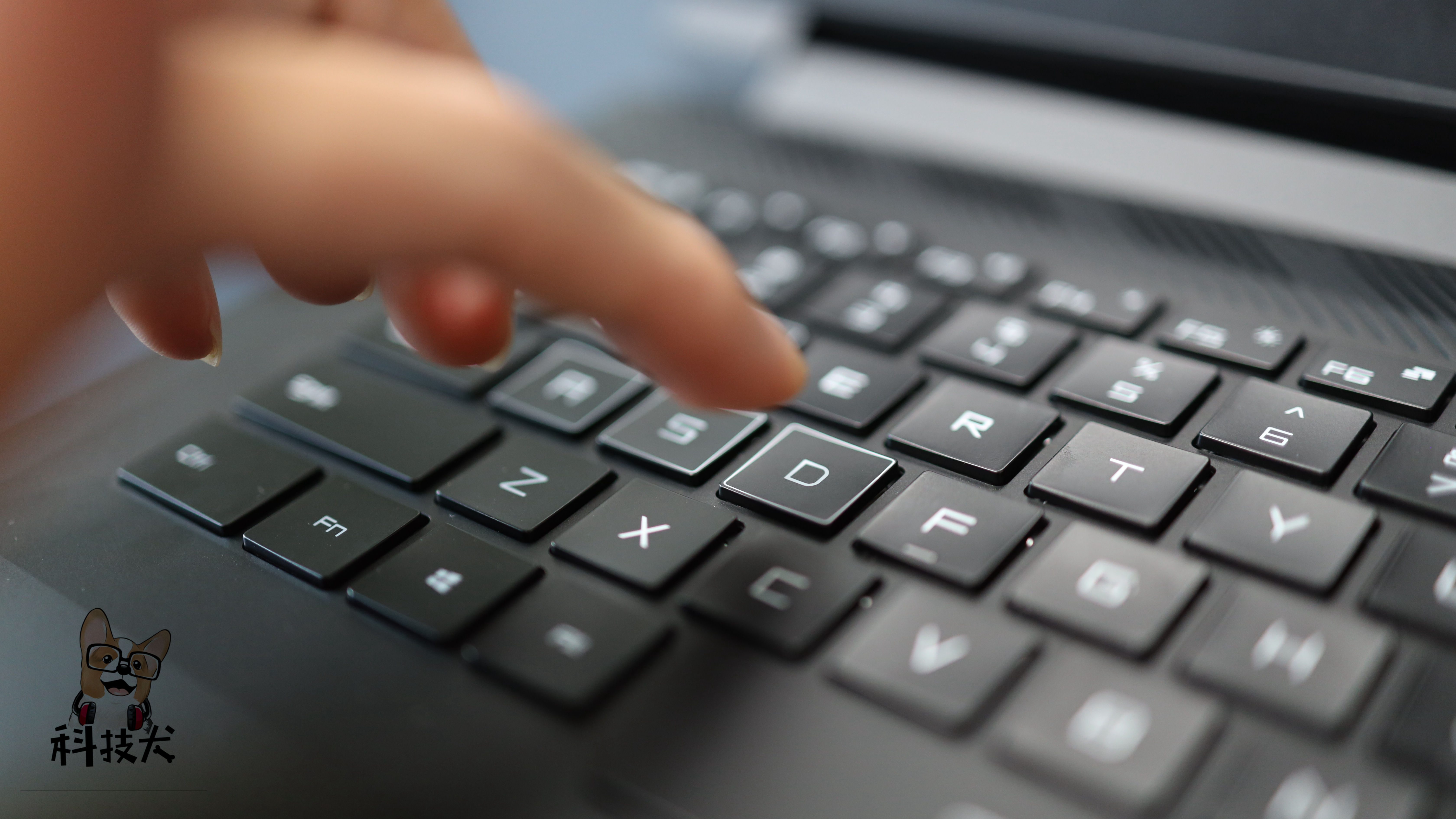 柯基狗幼犬多少钱一只,柯基犬最值得买的耳机