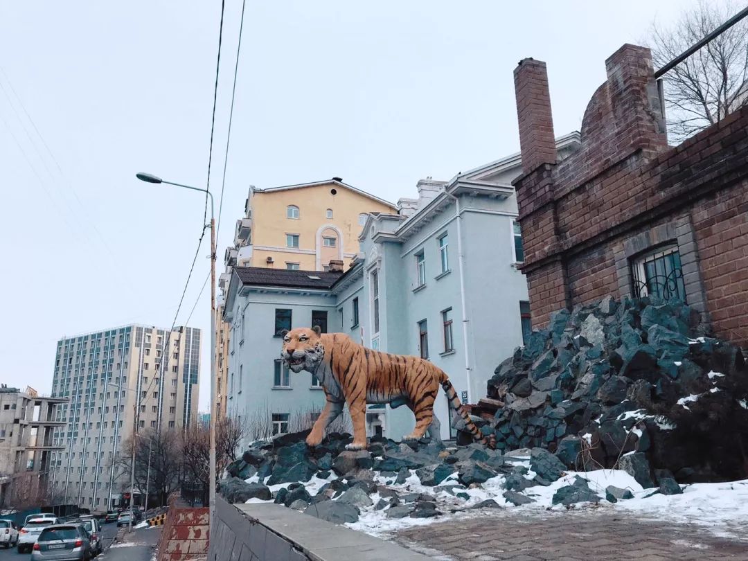 海参崴到莫斯科最便宜多少钱,海参崴旅游一千块钱