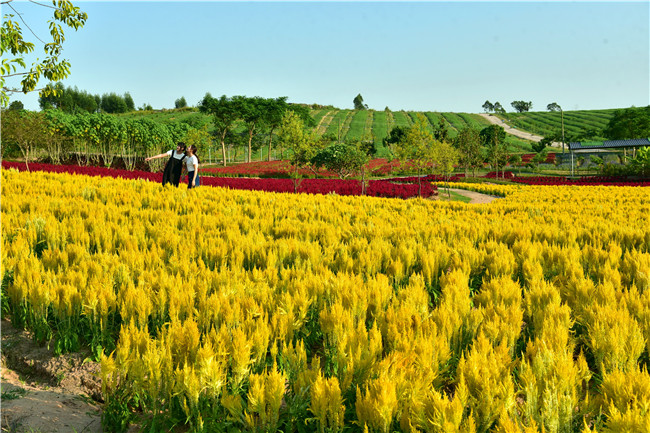 花都美林湖景区,广州花都美林湖攻略