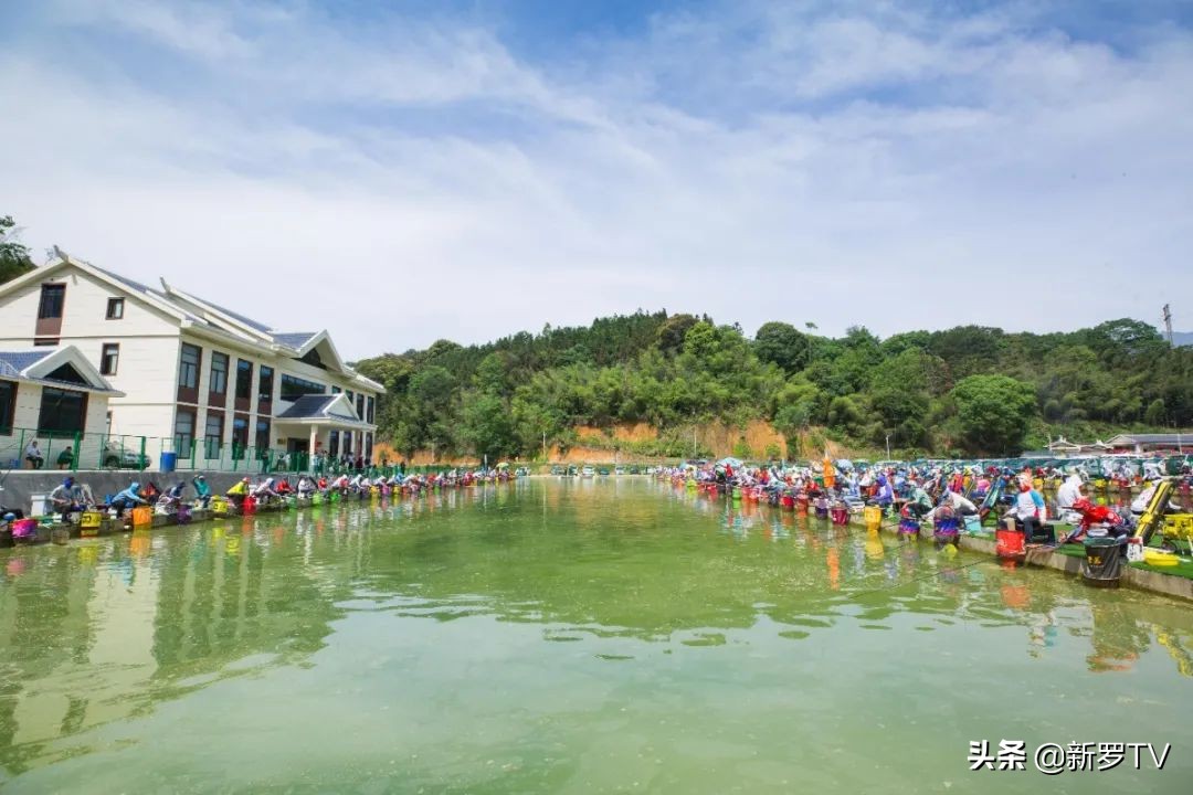 山水田园生态旅游节,山水文化旅游节图片