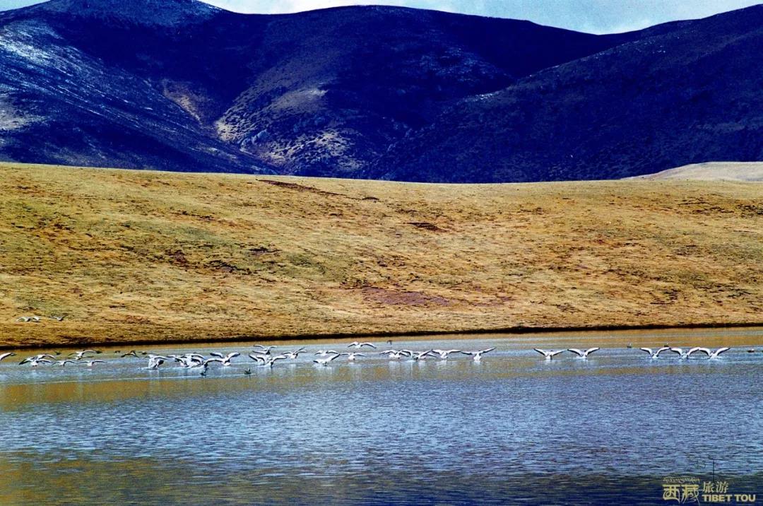 昌都市藏东明珠,现在的昌都藏东明珠
