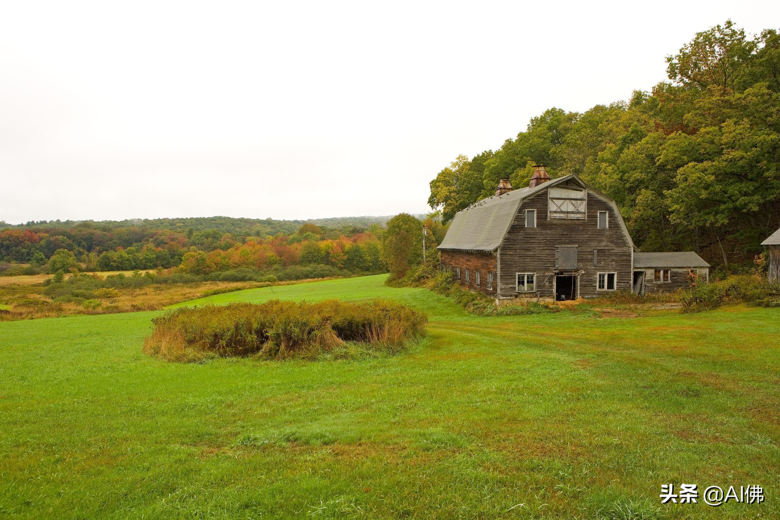 美国农田最多的州,美国哪个州的农场土地肥沃