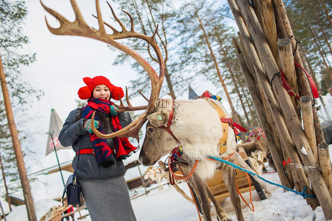 果小姐的日常,果小姐的慢生活