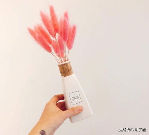 每日经典语录简短,短小金句语录