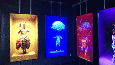 深圳溪涌黄金度假海滩,深圳溪涌度假村房子